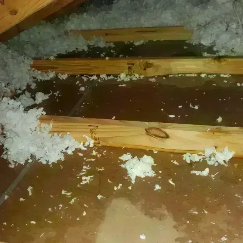 Attic Water Damage in Casper, WY