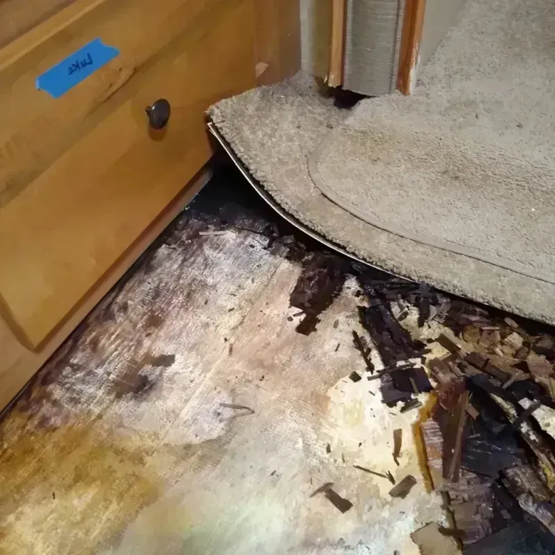 Best Wood Floor Water Damage Service in Casper, WY